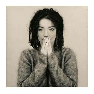 Bjork - Debut LP Vinyl Record