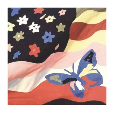 The Avalanches - Wildflower 2LP Vinyl Records The Avalanches - Wildflower 2LP Vinyl Records