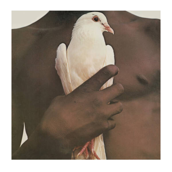 Santana - Santana's Greatest Hits LP Vinyl Record