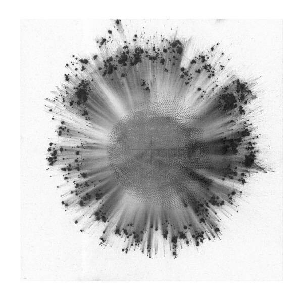 Trentemoller - Obverse 2LP Vinyl Records