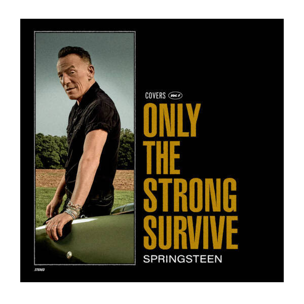 Bruce Springsteen - Only The Strong Survive 2LP Vinyl Records