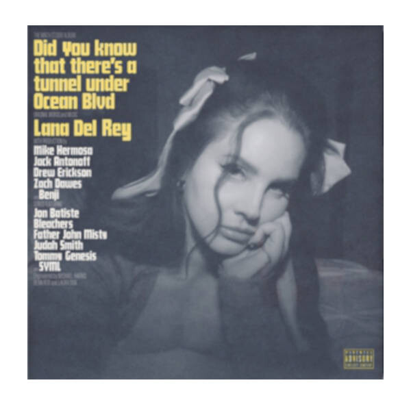 Lana Del Rey - Did You Know That There's a Tunnel Under Ocean Blvd 2LP Vinyl Records