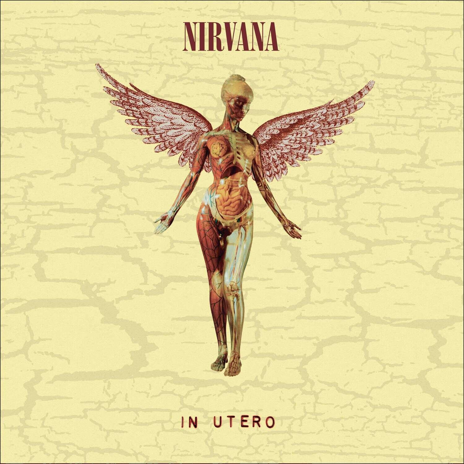 Nirvana - In Utero (30th Anniversary) 2LP Vinyl Records