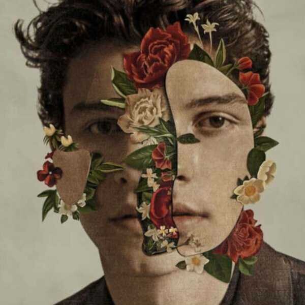 Shawn Mendes - Shawn Mendes LP Vinyl Record