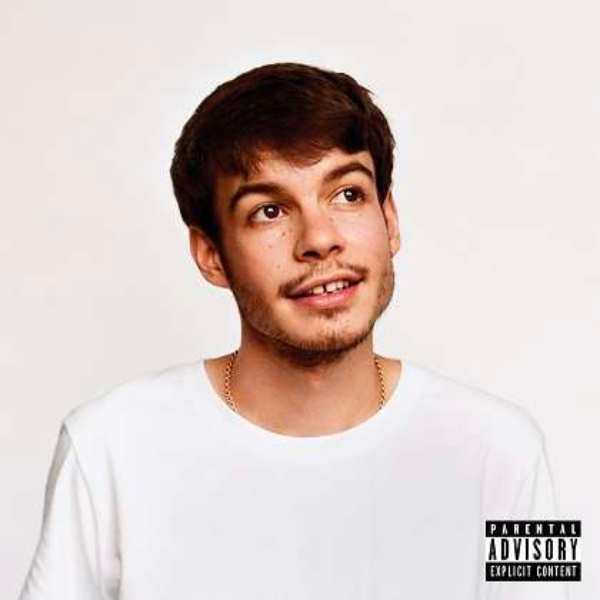 Rex Orange County - Pony LP Vinyl Record