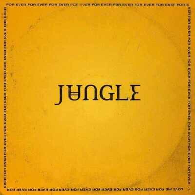 Jungle - Jungle LP Vinyl Record