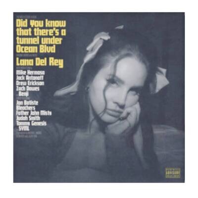 Lana Del Rey - Did You Know That There's a Tunnel Under Ocean Blvd 2LP Vinyl Records Lana Del Rey - Did You Know That There's a Tunnel Under Ocean Blvd 2LP Vinyl Records