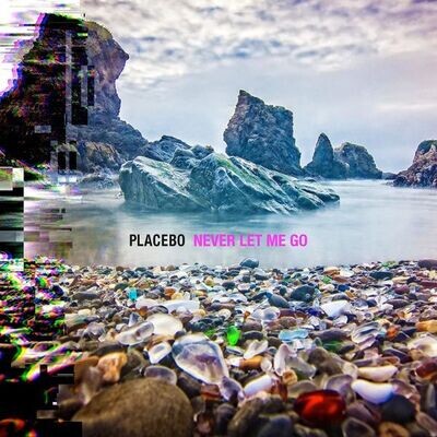 Placebo - Never Let Me Go 2LP Vinyl Records Placebo - Never Let Me Go 2LP Vinyl Records