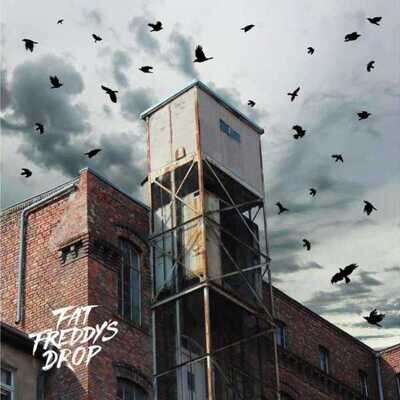Fat Freddy's Drop - Blackbird Returns 2LP Vinyl Records