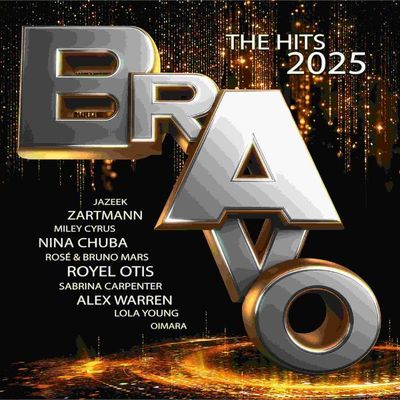 Various - Bravo The Hits 2025 4LP Vinyl Records