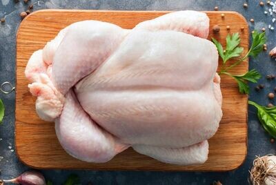 Duck & Chicken