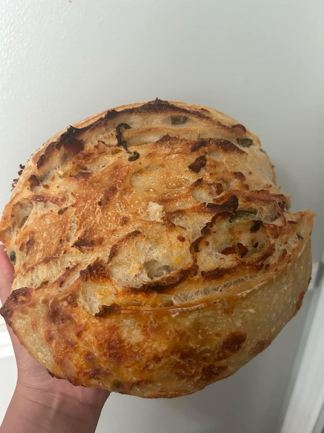 Organic Plain Sourdough