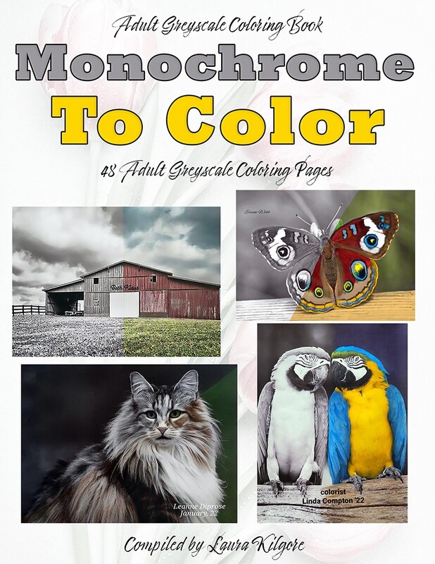 Monochrome to Color Adult Greyscale Coloring Book PDF Digital Download