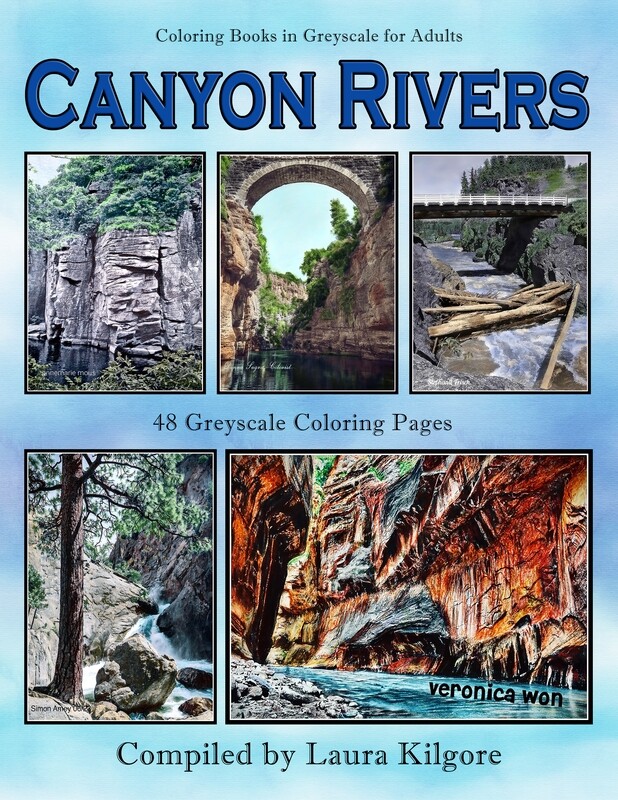Canyon Rivers Coloring Book in Greyscale for Adults