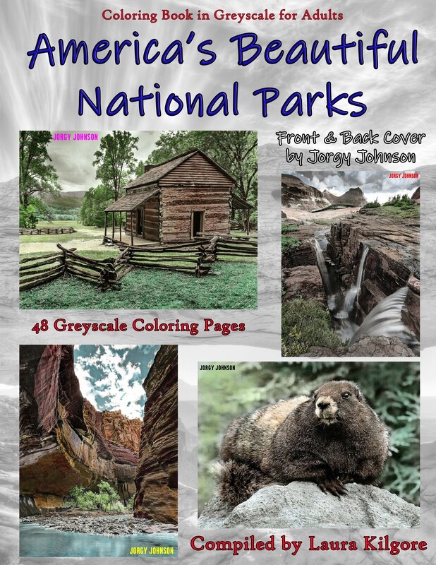 America's Beautiful National Parks Coloring Book in Greyscale for Adults