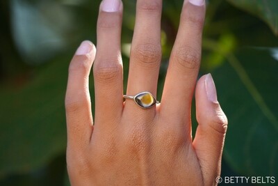Rose Shell 