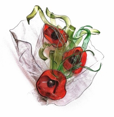 SPILLA Papaveri n. 23 ☆