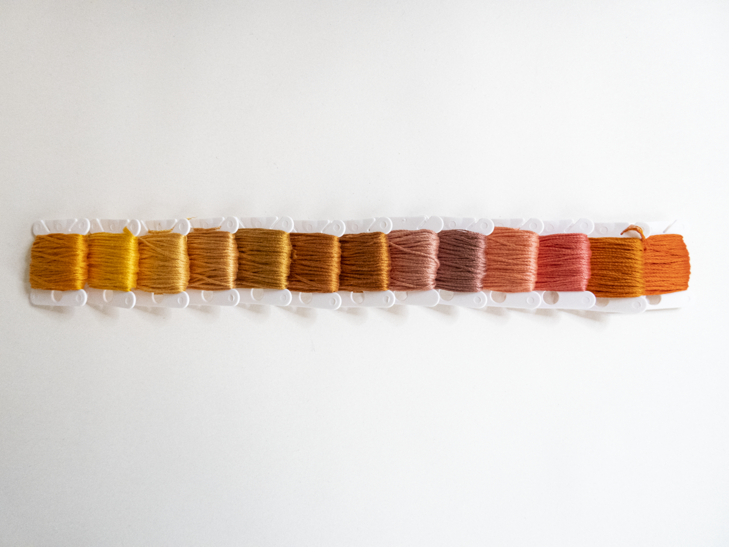 ORANŽNA IN LILA PALETA