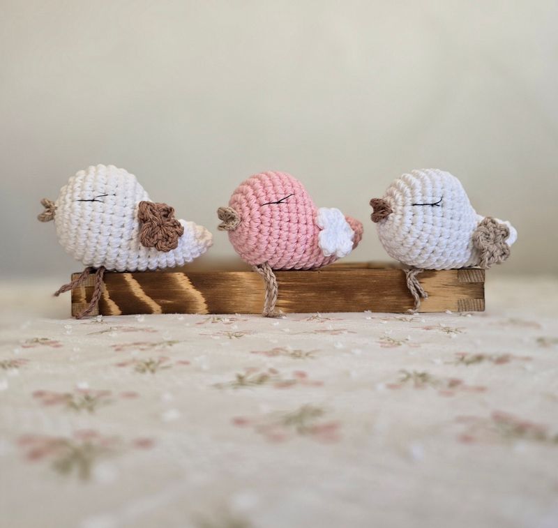 PTIČEK BLAGOSLOVA - Začetek 11.3.2026