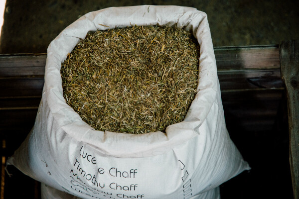 Lucerne/Meadow Mix Lucerne/Meadow Mix