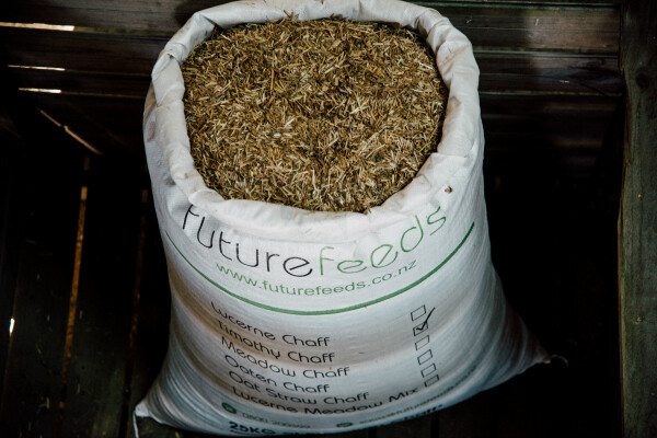 Timothy Chaff Timothy Chaff