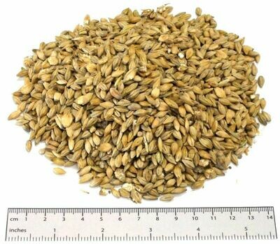 Whole Barley - Tonne