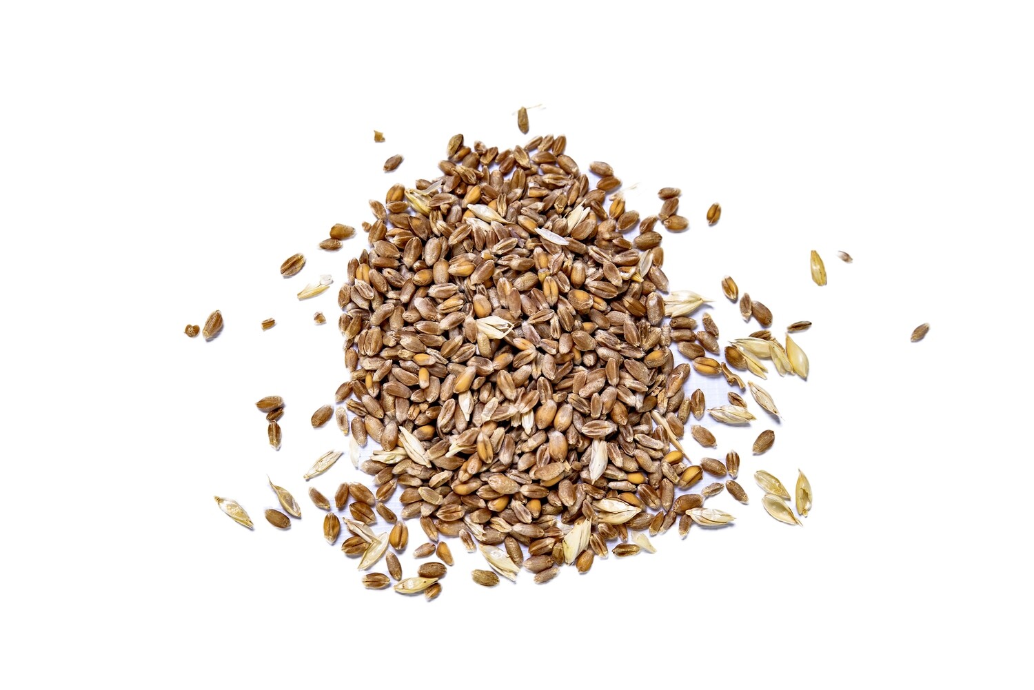 Whole Wheat - 10kg Whole Wheat - 10kg