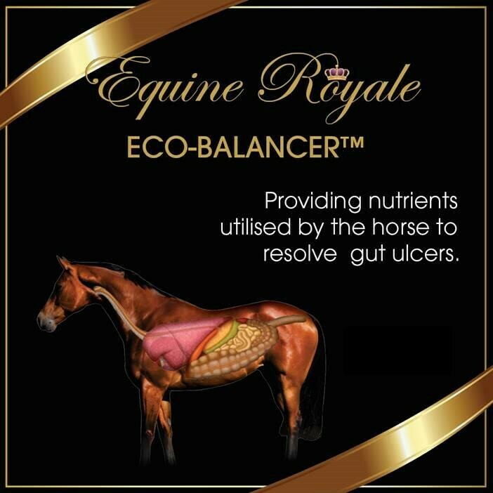 Eco-Balancer - Equine Royale Eco-Balancer - Equine Royale