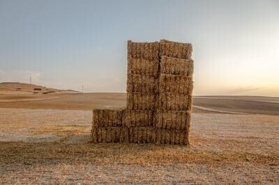 Hay/Straw