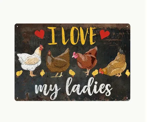 Sign - &quot;I love my ladies&quot;