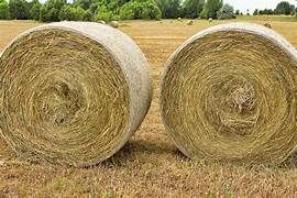 Big Round Hay Bale