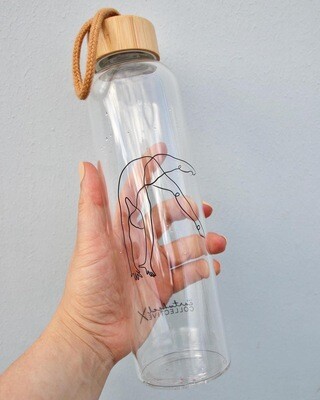 Bottles and Bags