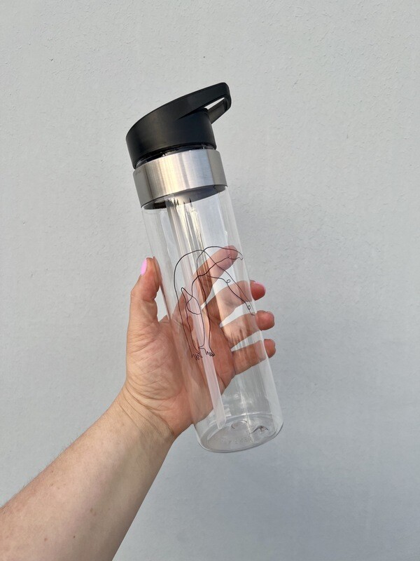 Drink Bottle - Back Handspring