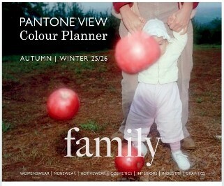 Pantone View Planner 2025-26
