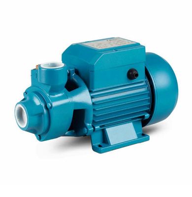 Pompa QB80 230V IBO Dambat Pompa QB80 230V IBO Dambat