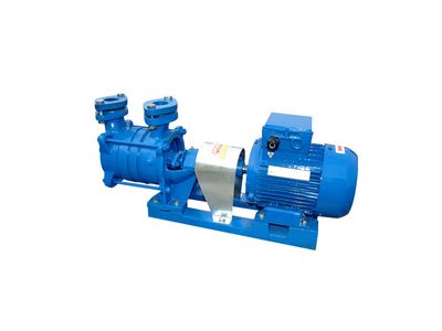 Pompa Hydroforowa SKSb 2-Stopniowa z Silnikiem 400V 1,1kW WIMEST