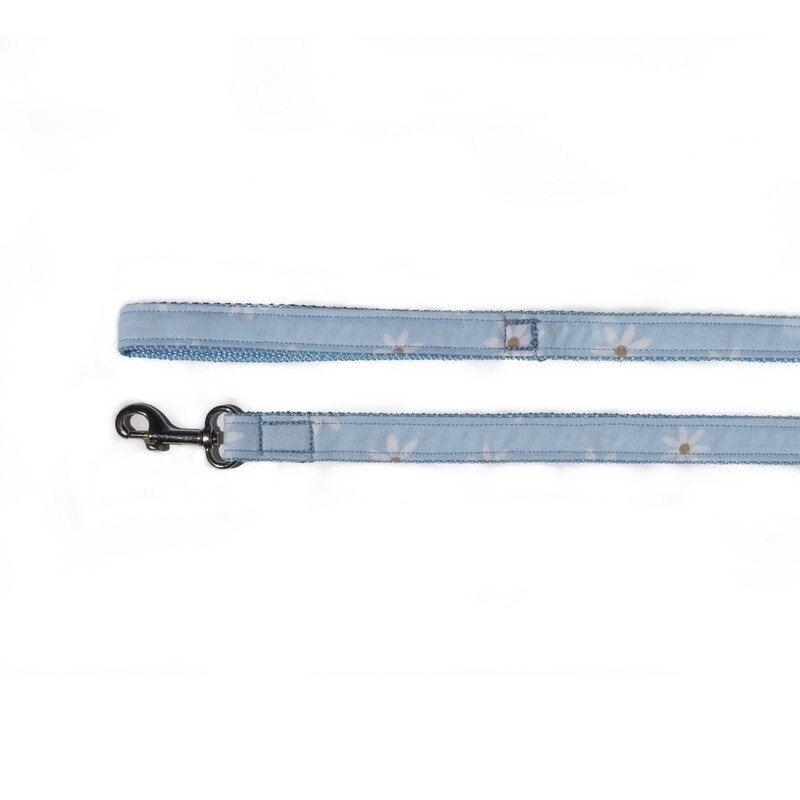 Leashes