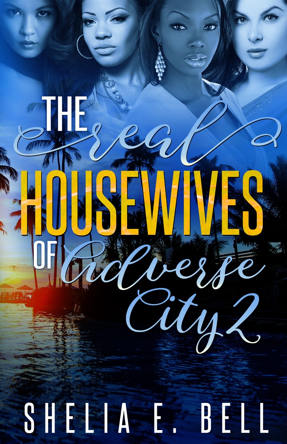 THE REAL HOUSEWIVES OF ADVERSE CITY Series (Book 2)