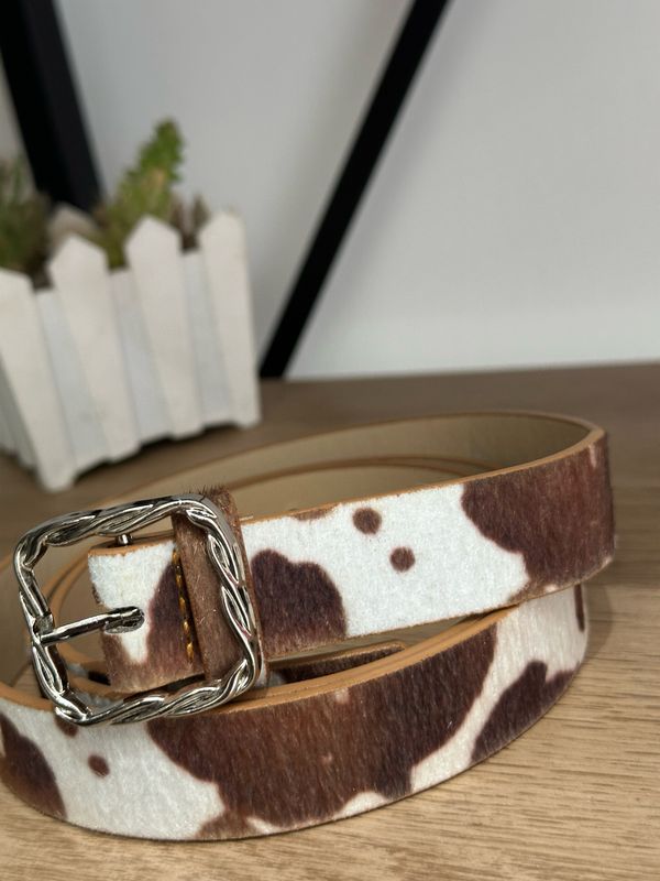 CINTO FINO COW