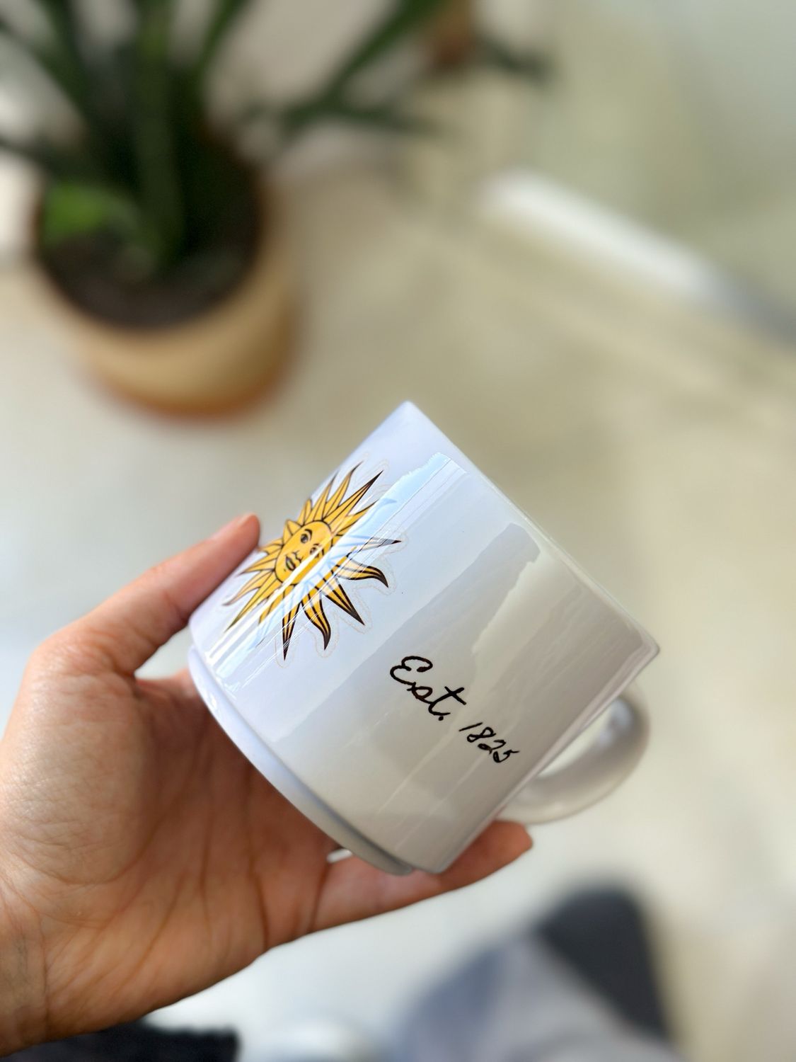 TAZA URUGUAY SOL