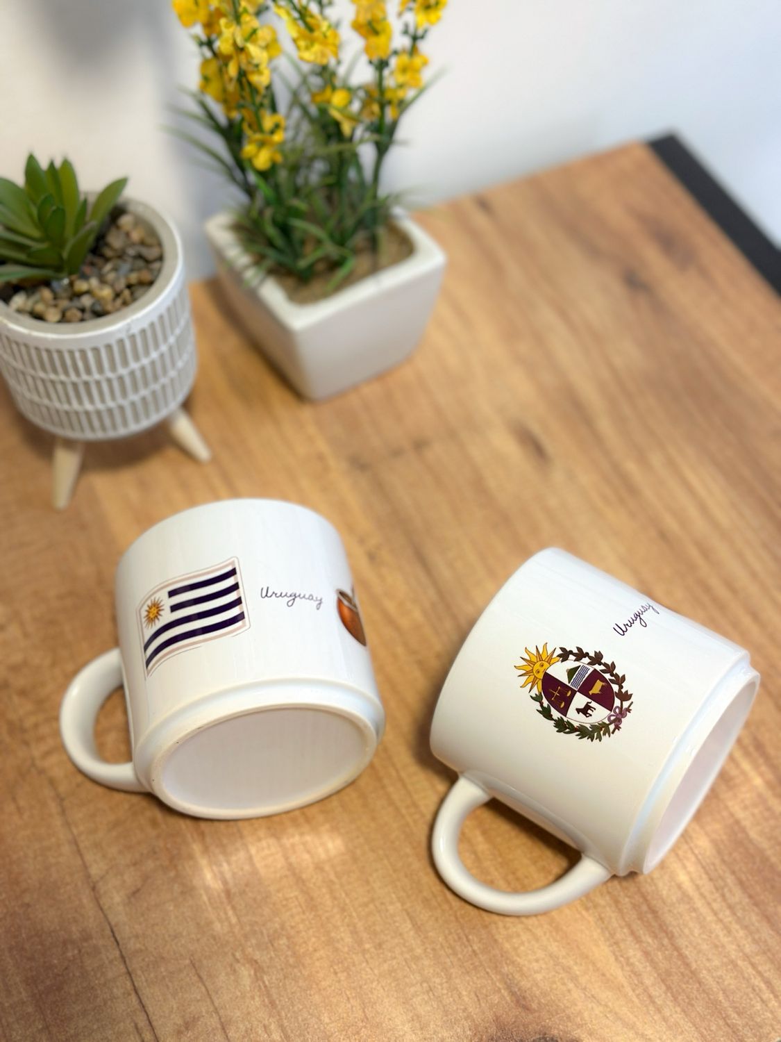 PACK TAZA x2