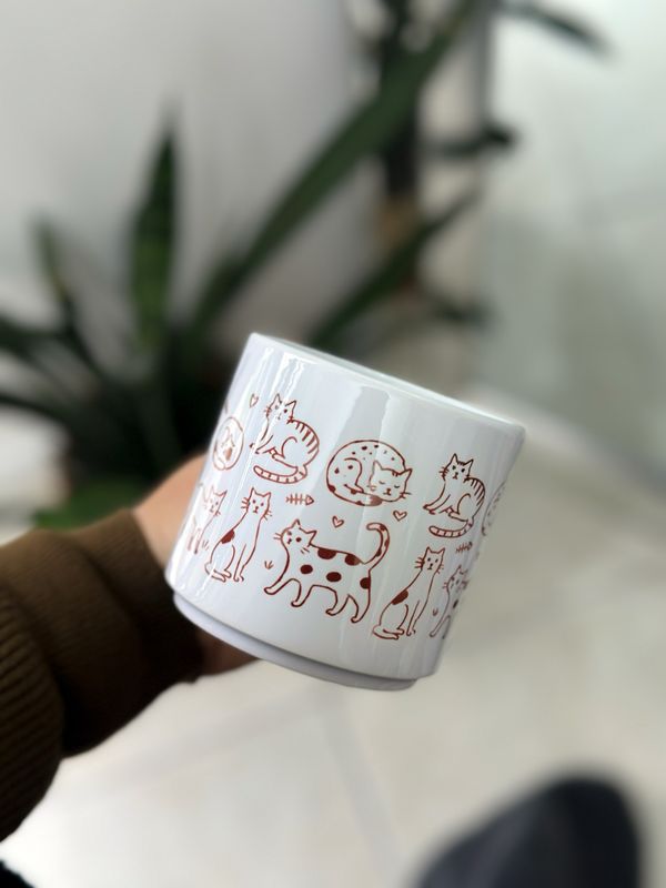 TAZA GATITOS