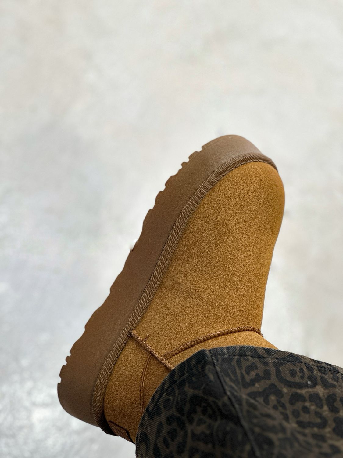 PANTUBOTA LISA