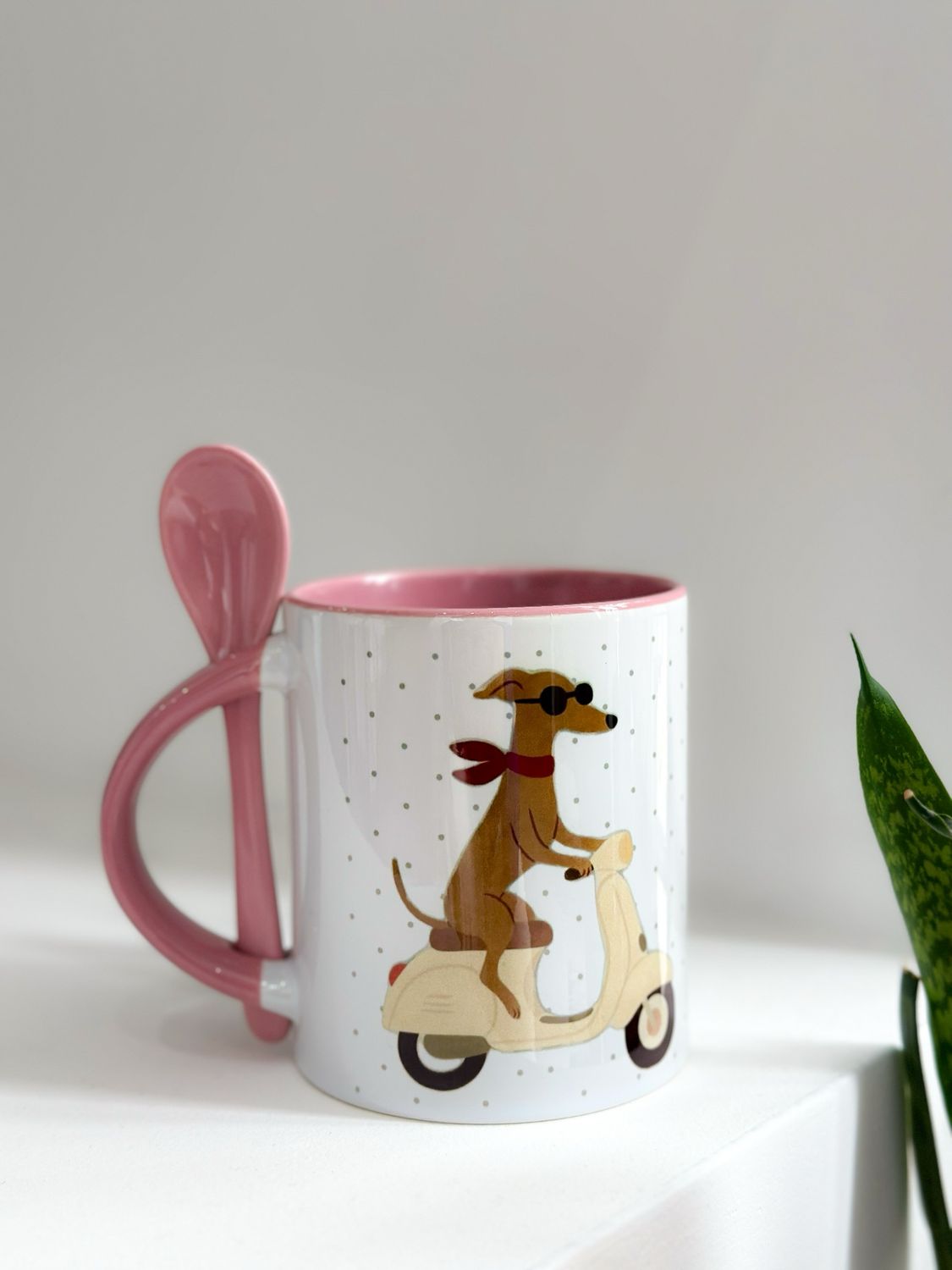 TAZA SALCHI MOTO