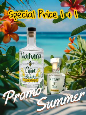 NATURA GIN PROMO SUMMER 1+1 (70cl + 20cl)