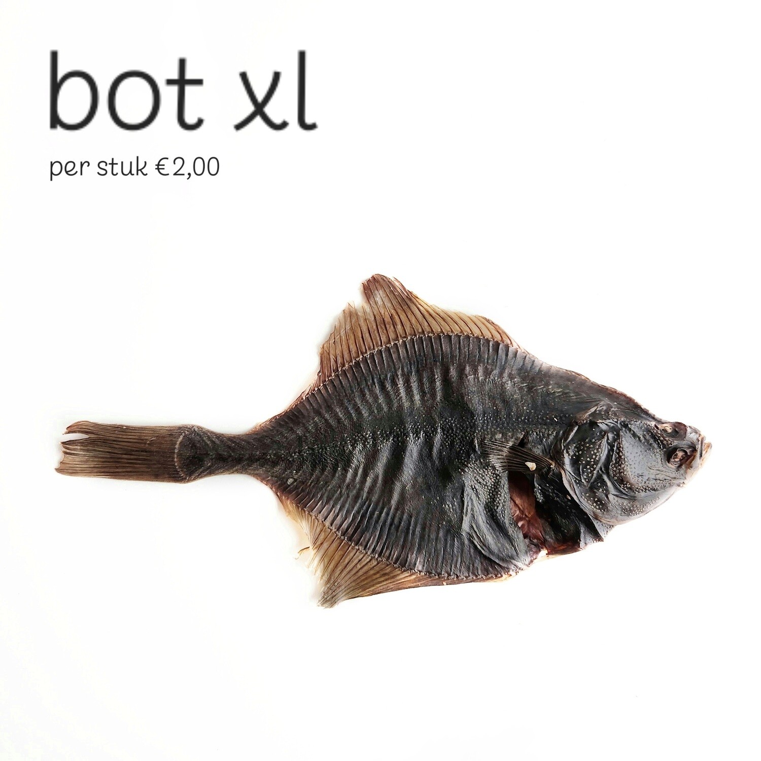 Bot XL