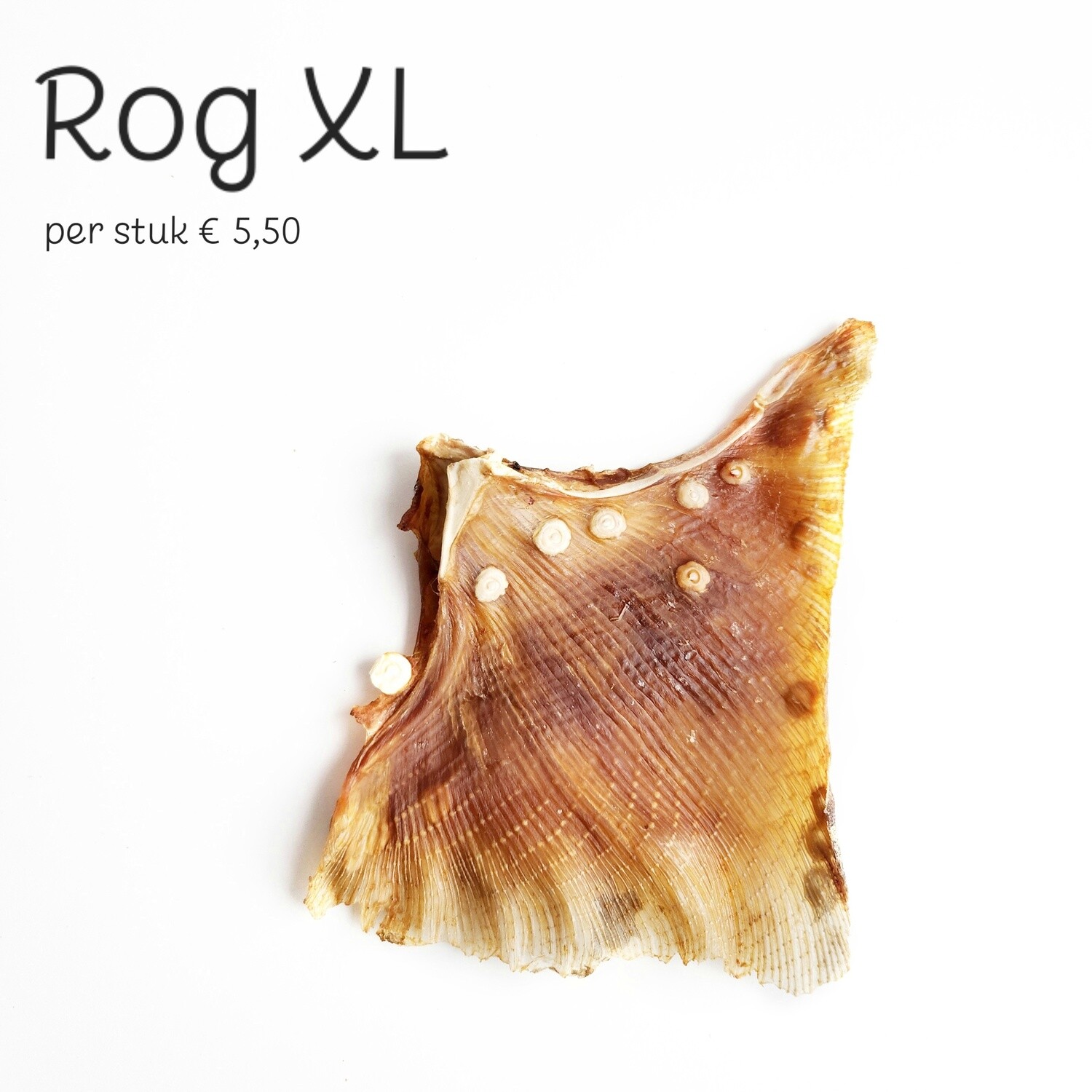 rog XL