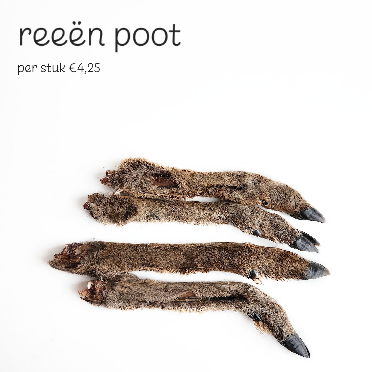 Reeën poot