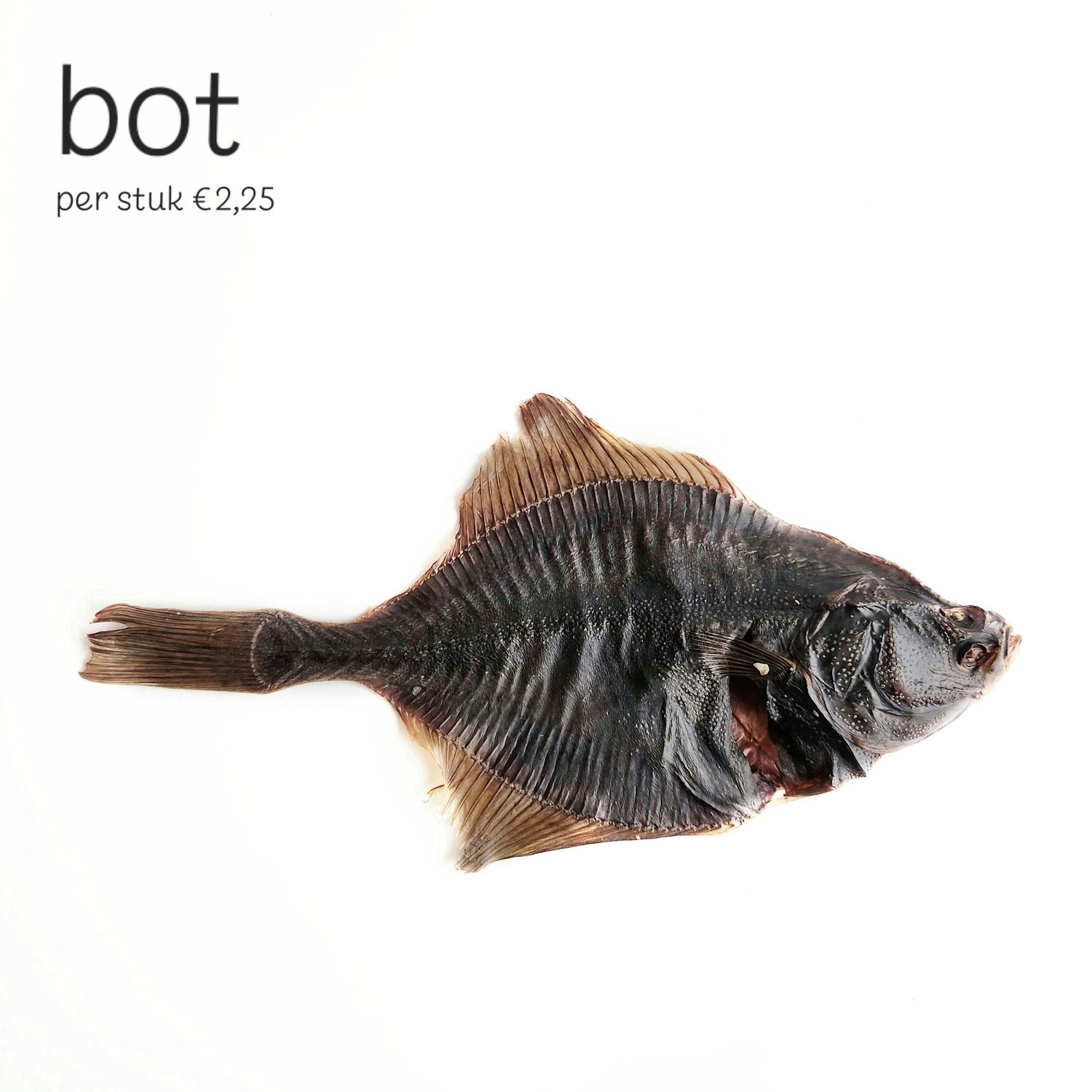Bot