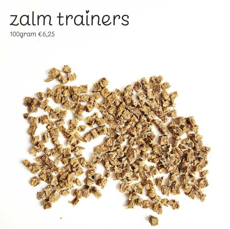 Zalm trainers